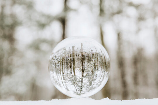 Crystal ball with reflection of trees on snow in forest