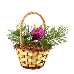 Fototapeta na wymiar Basket with a branch of spruce and a bright gift.
