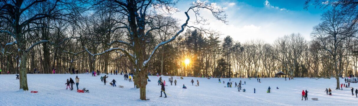 Sledging on the Kaiserberg in Duisburg in the sunshine