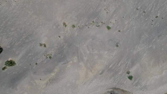 Lake Turkana shoreline with small waves lapping and sandy shore and palmtrees top-down view.