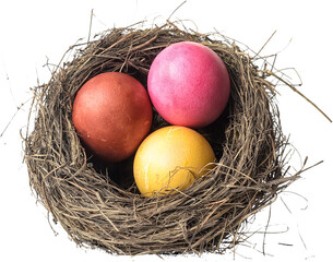 nest with decorated easter eggs on a white background
