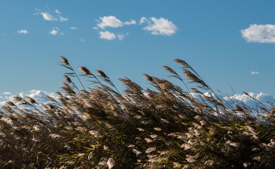 Paisaje agrario