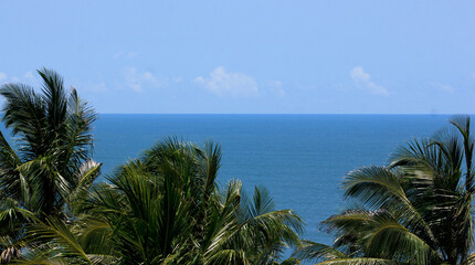 A peaceful tropical-themed backdrop for visual needs. Wind-blown coconut palm leaves and a blue sea.