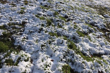 Neige sur un talus recouvert d'herbe, ville de Saint Priest, département du Rhône, France