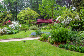 Amazing landscape with green meadow and japanese bridge in japanese garden in  Leverkusen , north Rhine-Westphalia