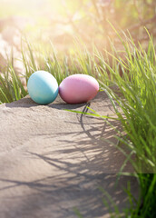 Pink and blue Easter eggs lie next to the delicate primrose flowers, under the bright rays of the spring sun