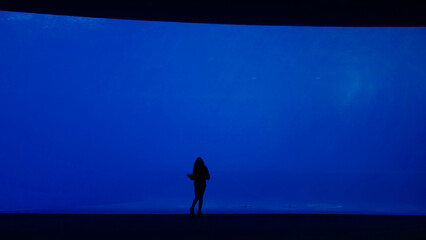 Silhouette of a girl looking at a large empty aquarium.