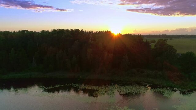 Beautiful countryside landscape with glittering sun yellow blue sunset sky, water lilies mirroring lake surface and trees silhouette, lateral drone aerial motion