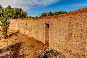 Gardens amongst the Kasbahs of Skoura Morocco