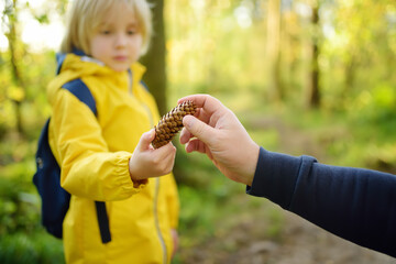 Cute schoolchild and his mature father hiking together and exploring nature. Little boy with his...