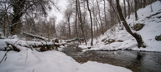Winter river with snow and forest