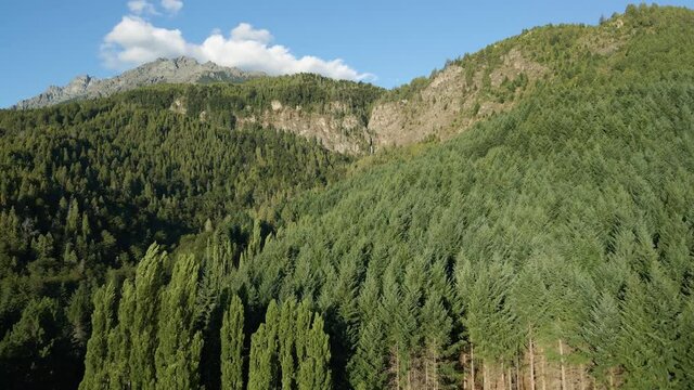 Aerial dolly in over a pine tree forest with Corbata Blanca waterfall between mountains in background, Patagonia Argentina