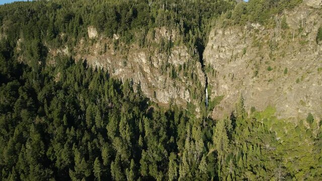 Aerial lowering on a pine tree woodland with Corbata Blanca waterfall between steep mountains, Patagonia Argentina