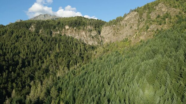 Aerial dolly in above a cypress woodland and Corbata Blanca waterfall hiding between mountains, Patagonia Argentina