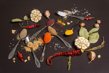 Obraz na płótnie Canvas Assorted spices in spoons, herbs and vegetables on black stone background