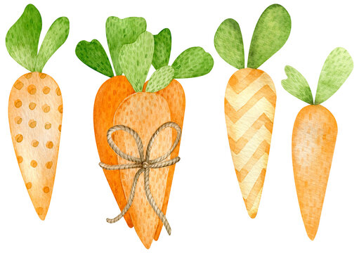 Watercolor illustration of cartoon style orange carrots. Happy Easter hand-painted symbol. Carrots for Easter Bunny.