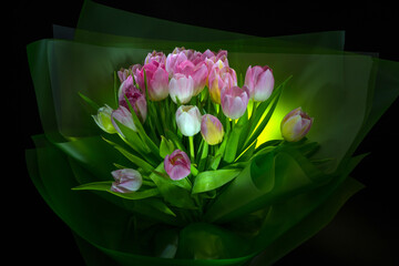 Bouquet of spring tulips on a black background