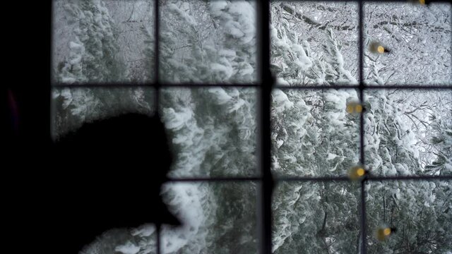 Vertical portrait - rotate 90 degrees. A cozy cat silhouetted against a winter snow storm.