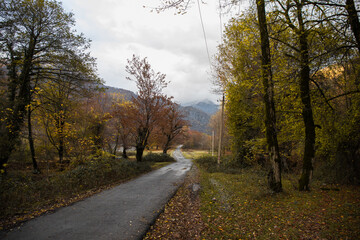 Amazing view with colorful autumn forest with asphalt mountain road at sunset.