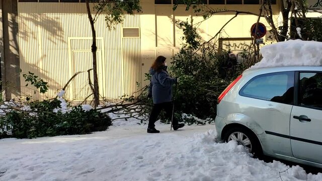 Madrid's street full of snow. The road is cover of snow and top of cars too. Trees seen with broken brances lying on the floor. The sun shine on the building in front. A woman walks past with her dog.