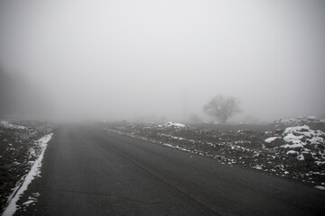 Winter trees in mountains covered with fresh snow. Beautiful landscape with branches of trees covered in snow. Mountain road in Caucasus. Azerbaijan
