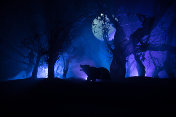 Horror view of big bear in forest at night. Angry bear behind the fire cloudy sky. The silhouette of a bear in foggy forest dark background