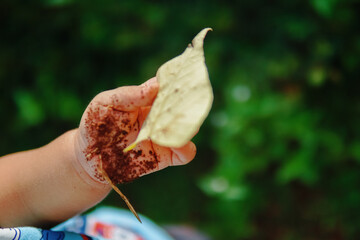 the boy's hand holding the yellow leaf