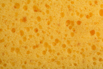 Detailed closeup macro of sponge texture showing detailed holes and structure