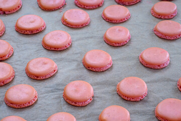 Pink homemade macaron cookies halves with feet on parchment paper on a baking sheet