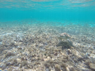 DCIM\100GOPRO