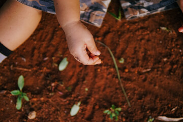 the boy's hand was playing on the dirty ground