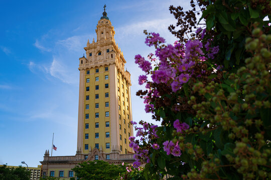 Miami, FL, USA - 2020: The Freedom Tower. American Latino Heritage. Florida old style historic skyscraper in downtown.