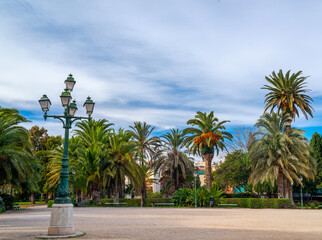 Fototapeta na wymiar Palm trees in the park against the blue sky. Valencia..