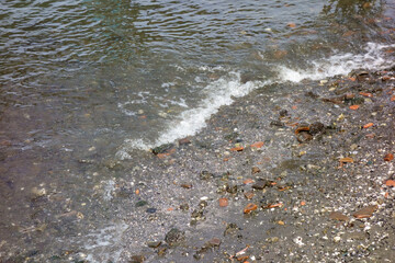 穏やかな海岸の波が打ち寄せる浜辺