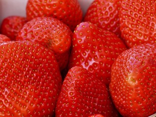 Reife rote Erdbeeren