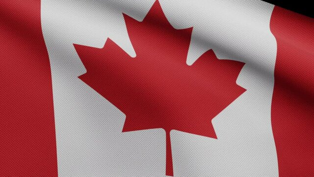 3D illustration Canadian flag waving in wind. Close up of Canada banner blowing, soft and smooth silk. Cloth fabric texture ensign background. Use it for national day and country occasions concept-Dan