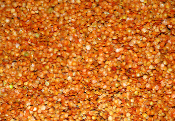 Raw Food Legumes Lentil