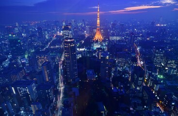 六本木ヒルズからの夕景