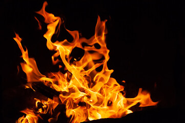 Arson or natural disaster. Burning tree branches. Remains from fire, hot red-orange coals from burnt wood.