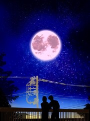 Silhouette of lovers in the night landscape	