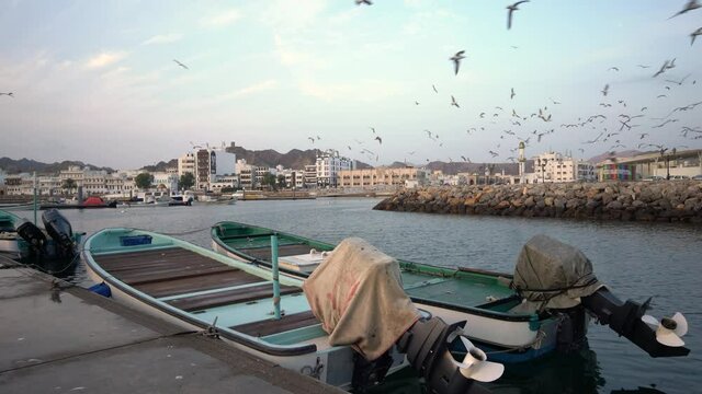 Fishing boats parked on a dock with seagulls and birds flying over in Mutrah. Muscat, Oman