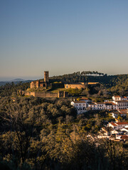 Fototapeta na wymiar Castillo en Andalucía