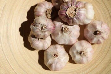 garlic