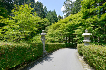 Naklejka premium 比叡山延暦寺 横川参道 滋賀県大津市