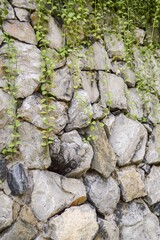 stone wall in nature garden