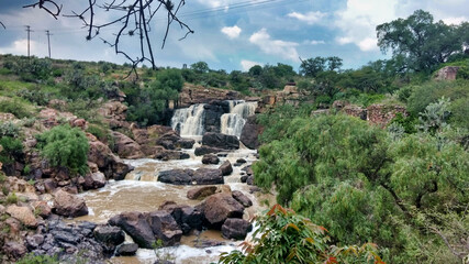 cascadas en el jardín botánico 