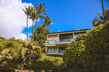 Fototapeta na wymiar Palm trees in China Walls Koko Kai Beach Mini Park Oahu Hawaii