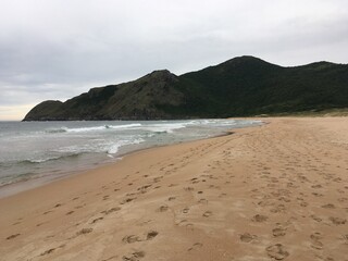 beach