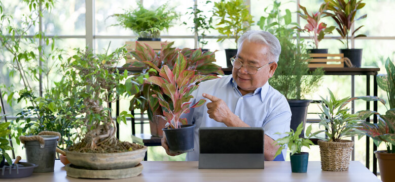 A retired old man spends free time planting potted plants. He uses wireless communication via tablet computers to describe plants to clients. Small home business concept.
