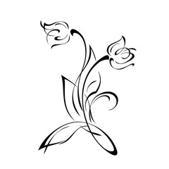 ornament 1536. stylized flower with two buds on a curved stem with leaves and curls in black lines on a white background